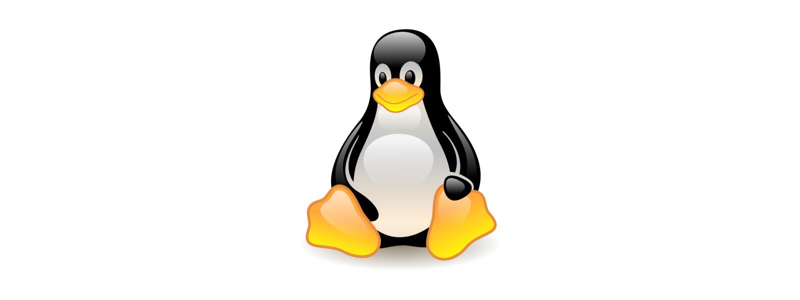 Linux 5.14 conta cun parche para usar Hyper-Threading