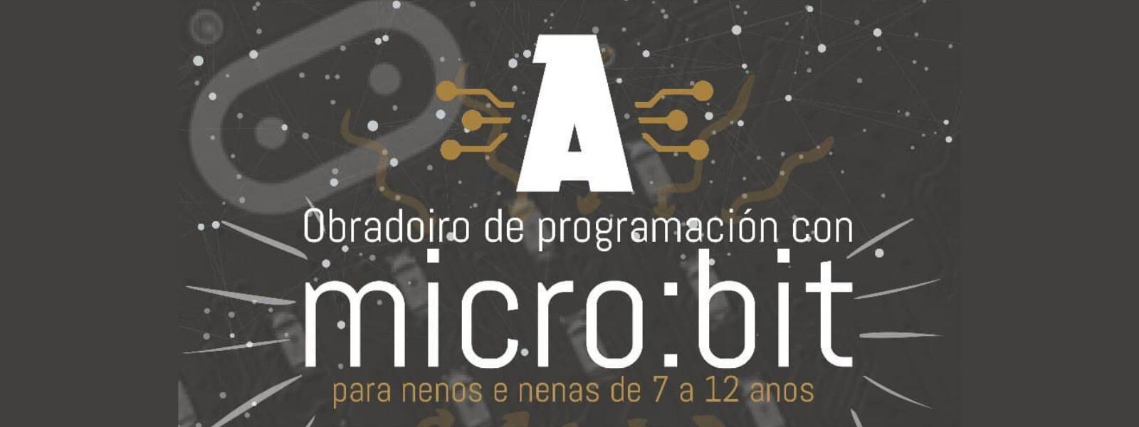 Obradoiro de programación con Micro-Bit para nenas e nenos na Industriosa