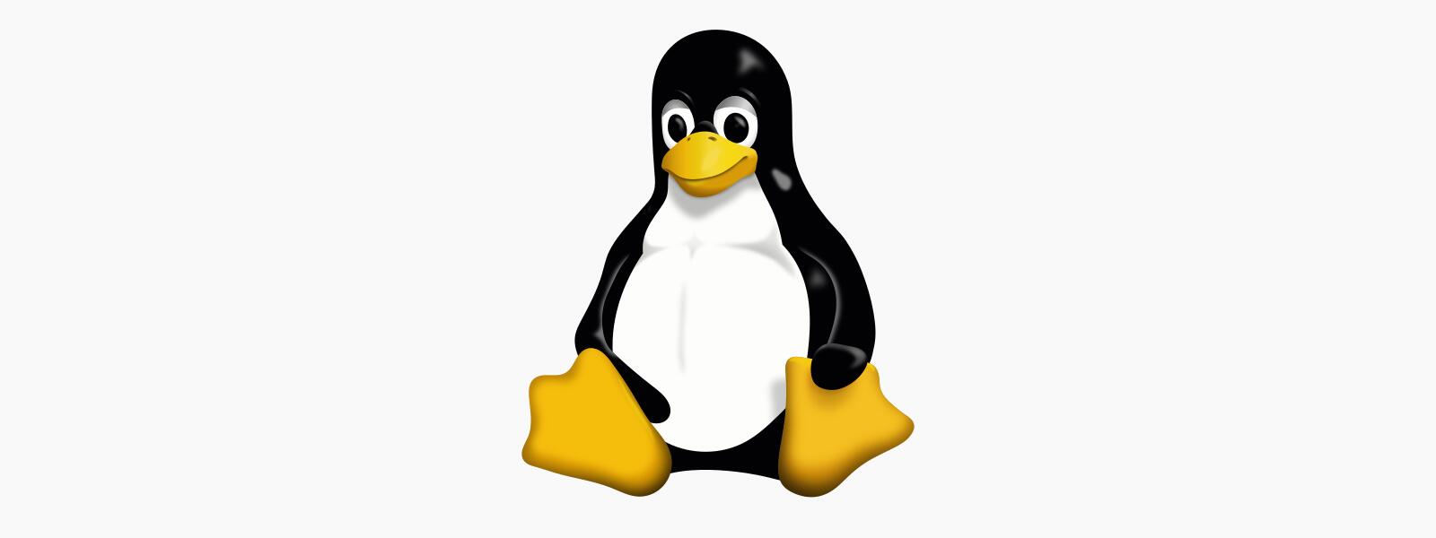 Linux 5.10, dous anos de soporte se non consigue apoio empresarial