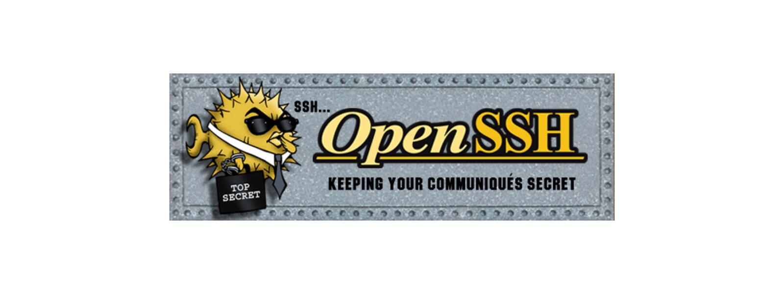 OpenSSH 8.9