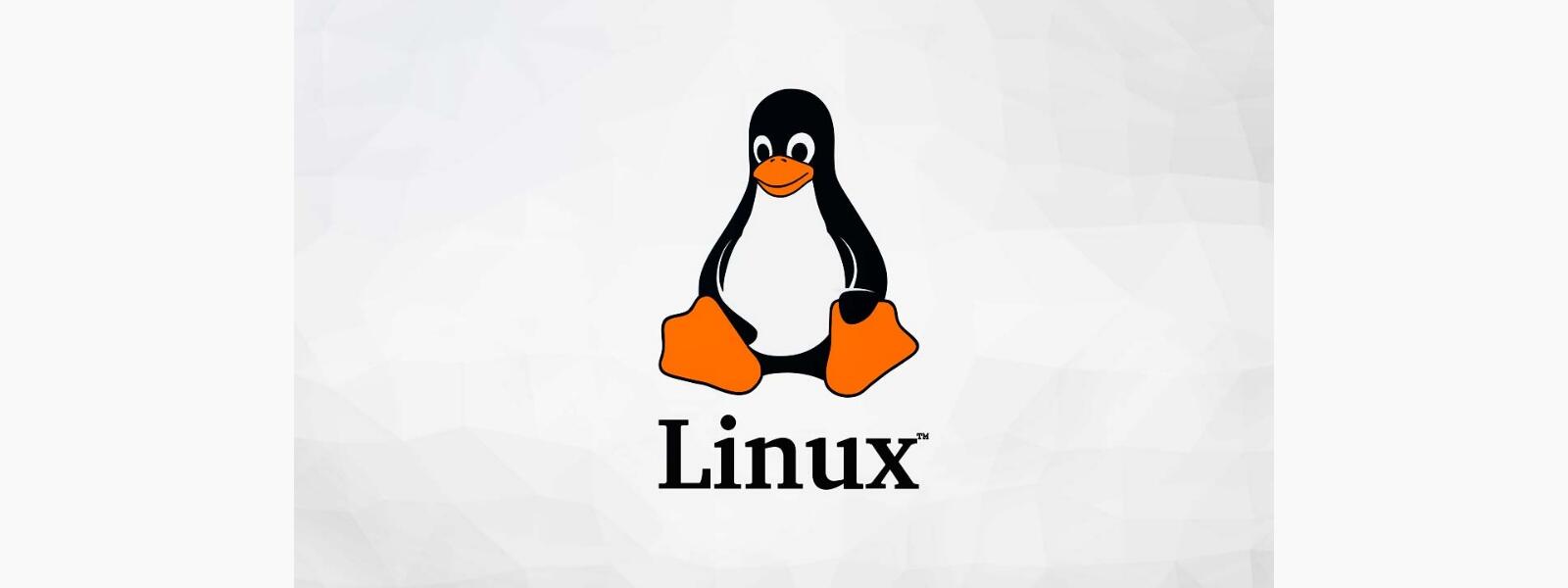 Linux 5.11, melloras para Btrfs e AMD