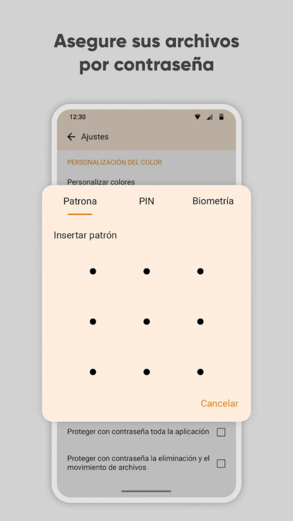 Captura da aplicación en Android
seguridade