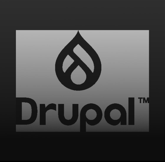 Curso de Drupal 10 Site Building