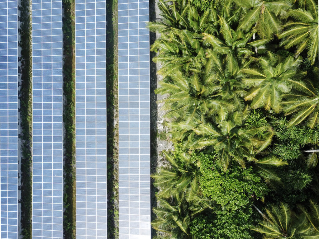 foto aérea de placas solares e árbores